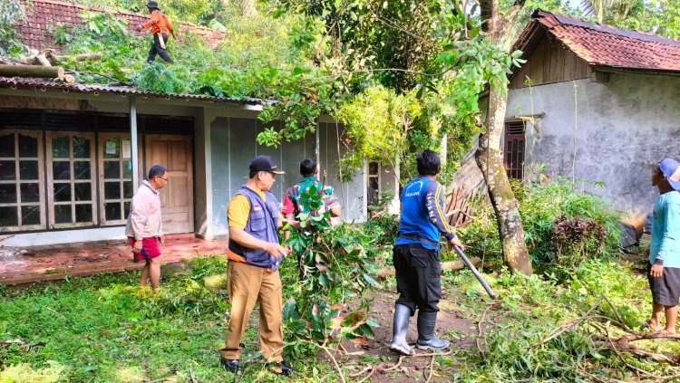 Jadi Pelopor Tugas Kemanusiaan, Babinsa Adipala Bersihkan Rumah Tertimpa Pohon