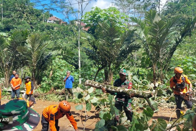 Akibat Hujan Deras Tebing Longsor Menutup Jalan Provinsi Banjarnegara-Pekalongan