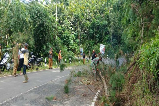 Babinsa Koramil 04 Karangkobar Bantu Warga Penebangan Pohon