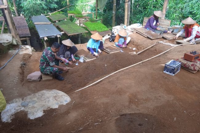 Babinsa Koramil 16 Pejawaran Motivasi Petani Cabe