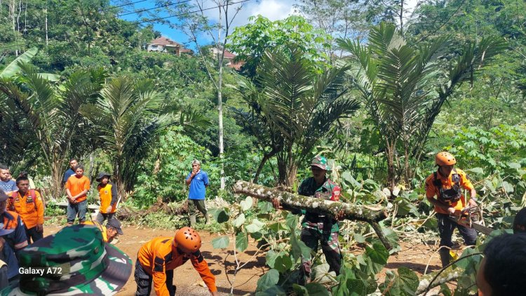 Akibat Hujan Deras Tebing Longsor Menutup Jalan Provinsi Banjarnegara-Pekalongan