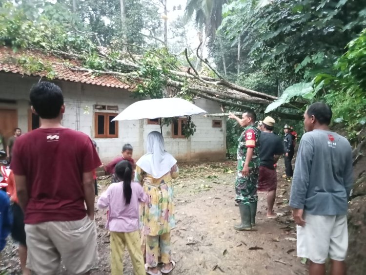 Evakuasi Pohon Tumbang oleh Babinsa dan Masyarakat