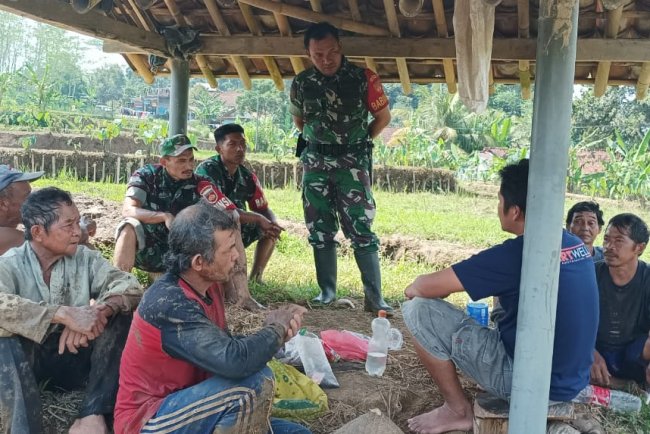 Dukung Program Pemerintah Swasembada Pangan, Babinsa Berikan Motivasi Kepada Petani