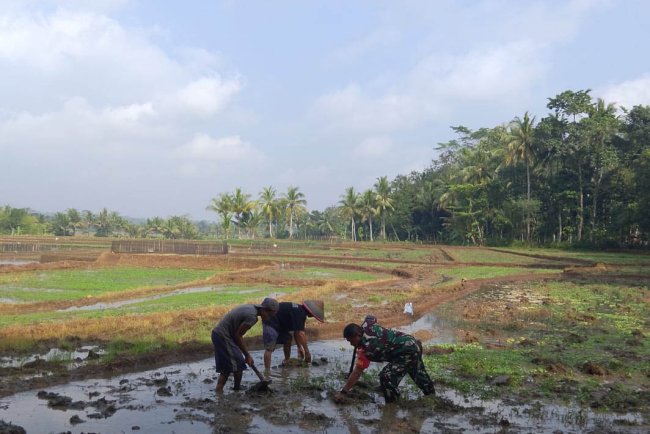 BABINSA BERSAMA PETANI DI DESA BINAAN