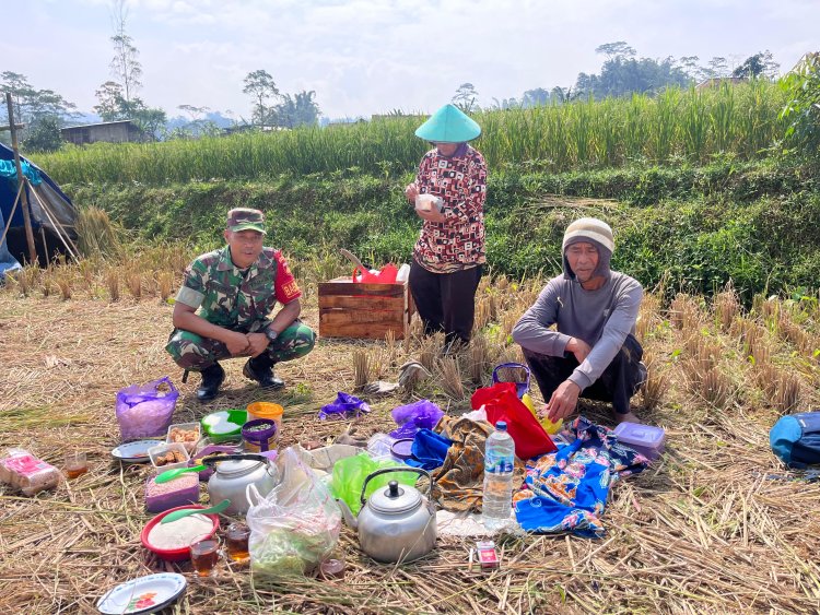 BABINSA KORAMIL 16/PEJAWARAN KOMSOS DENGAN PETANI PADI