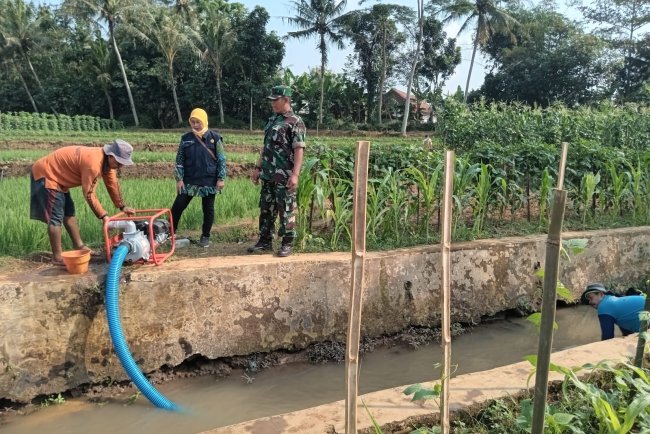 Monitoring  Pompanisasi Danramil 02 Klampok Bantu Atasi Kekeringan di Desa Pagak