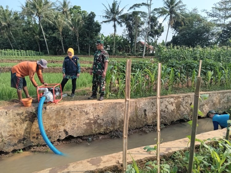 Monitoring  Pompanisasi Danramil 02 Klampok Bantu Atasi Kekeringan di Desa Pagak