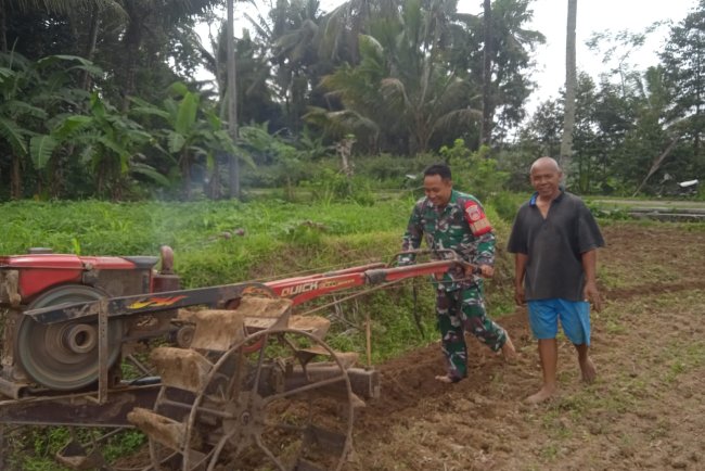Babinsa Turun ke Sawah Bantu Petani Pengolahan Lahan