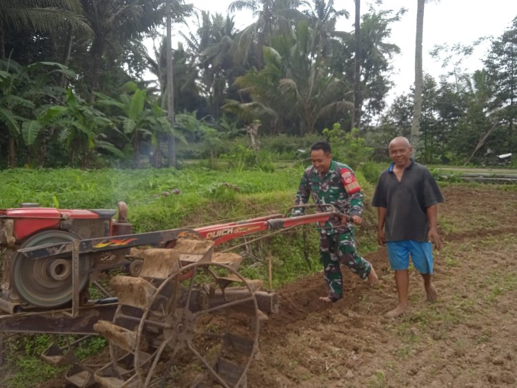 Babinsa Turun ke Sawah Bantu Petani Pengolahan Lahan