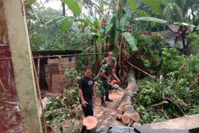 Babinsa Koramil 09 Susukan Bantu Warga Evakuasi Pohon Tumbang yang Menimpa Rumah