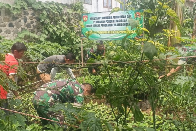 Babinsa Koramil 16/Pejawaran Melaksanakan Budidaya Bibit Tanaman Kopi