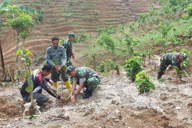 Danramil 01 Banjarnegara Bersama Warga Gelar Penghijauan di Desa Kebutuhduwur