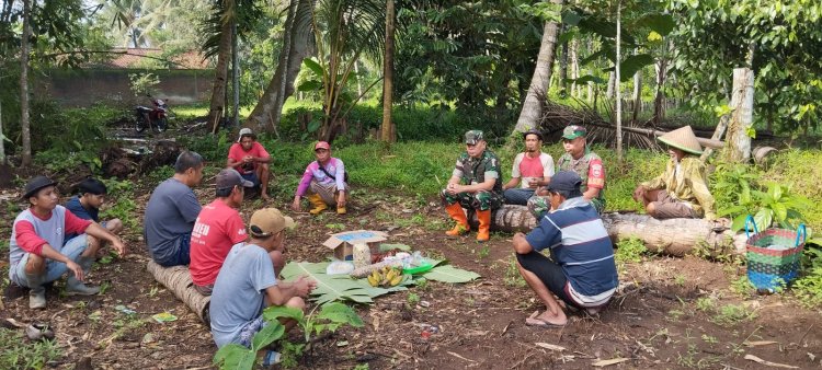 Danramil 09 Susukan Beserta Aggota Laksanakan Kegiatan Ketahanan Pangan Pompanisasi
