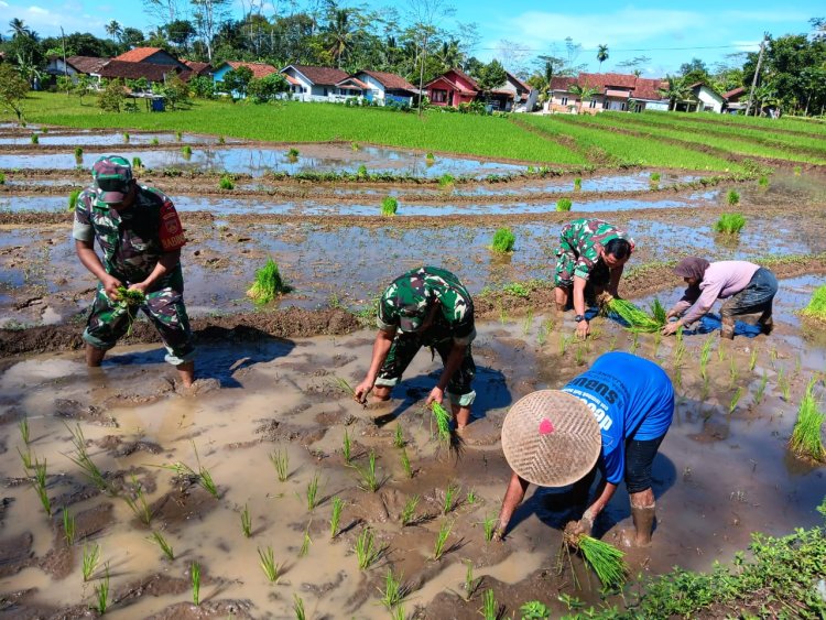 Danramil 18 Pagentan Bersama Babinsa dan Kelompok Tani Sida Maju Dukung Ketahanan Pangan