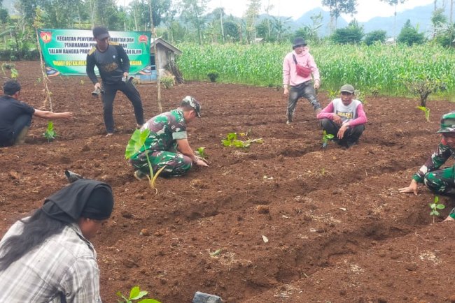 Danramil Kalibening Dukung Petani dengan Program Penghijauan Kopi Arabika