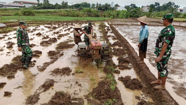 Danramil 02 Klampok Dukung Ketahanan Pangan Lewat Pengolahan Lahan Bersama Petani