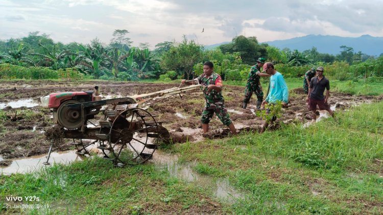 Babinsa Desa Kedawung Dampingi Petani Olah Lahan Demi Swasembada Pangan