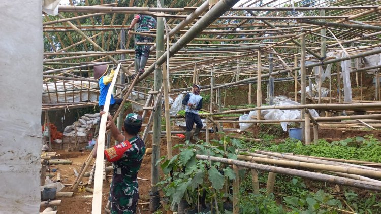 Babinsa Koramil 04 Karangkobar Bantu Pembuatan Tempat Pembibitan Sayuran