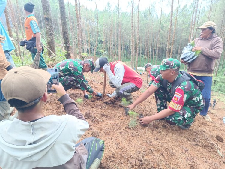 Danramil 17 Wanayasa Bersama Elemen Terkait dan Warga Melaksanakan Reboisasi