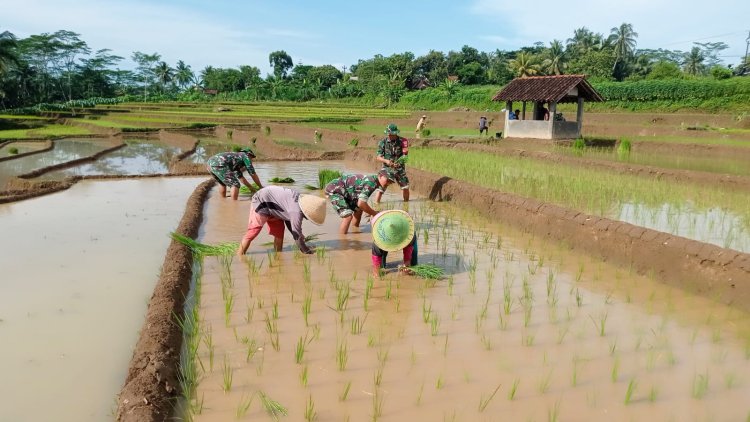 Babinsa Koramil 10 Bawang Bantu Petani Persiapkan Bibit Padi