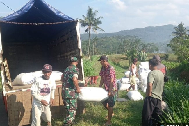 Danramil 12 Sigaluh Bersama Anggota Dan Bulog Kancab Banyumas Melaksanakan Sergab