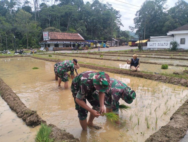 Koramil 12 Sigaluh Bantu Petani Tanam Padi