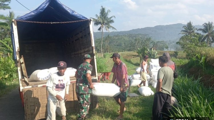 Danramil 12 Sigaluh Bersama Anggota Dan Bulog Kancab Banyumas Melaksanakan Sergab