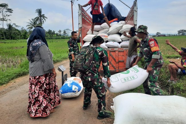 Koramil 03 Wanadadi dan Bulog Serap 14 Ton Gabah Petani di Dua Desa