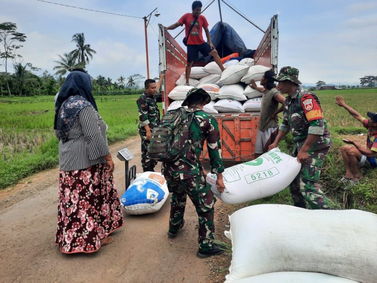 Koramil 03 Wanadadi dan Bulog Serap 14 Ton Gabah Petani di Dua Desa