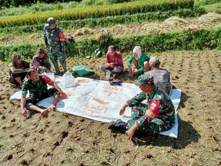 Babinsa Koramil 04/Karangkobar Jalin Komsos Dengan Para Petani Padi Di Wilayah Binaan