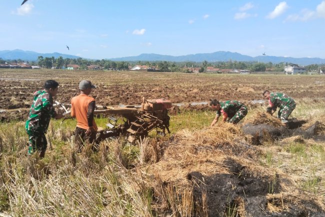 Babinsa Bantu Petani Garap Lahan Sawah