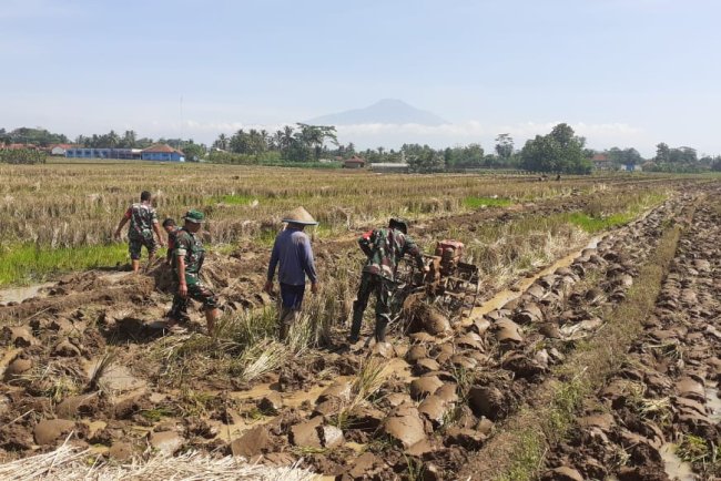 Babinsa Bantu Petani Olah Lahan untuk Dukung Swasembada Pangan