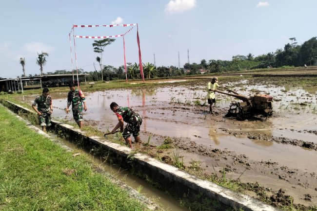 Babinsa Terjun langsung Bantu Petani Saat olah lahan