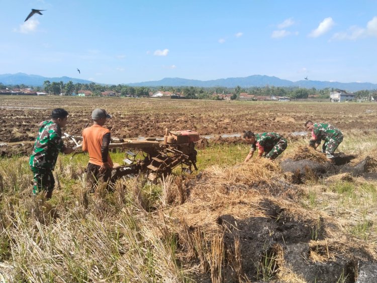 Babinsa Bantu Petani Garap Lahan Sawah