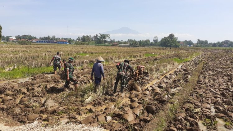 Babinsa Bantu Petani Olah Lahan untuk Dukung Swasembada Pangan