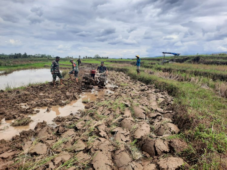 Babinsa Turun Sawah Bantu Petani Olah Lahan di Gumingsir