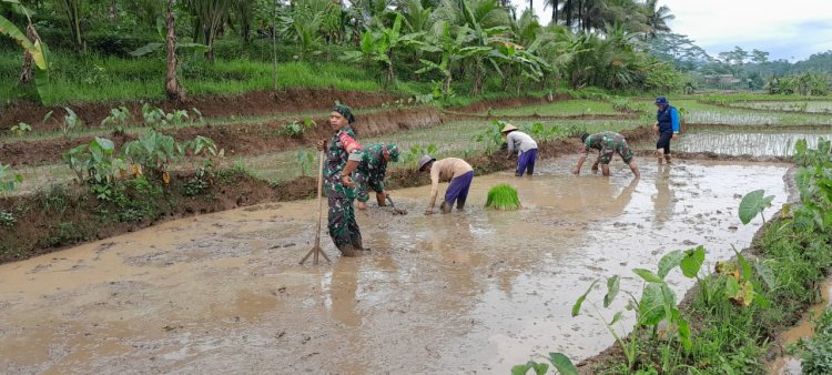 Danramil dan Babinsa Terjun Langsung Membantu Petani Pengolahan lahan