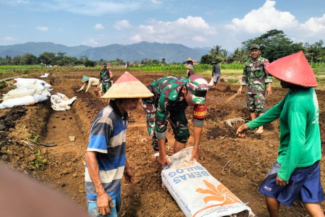 Koramil 02 Klampok Mendampingi Petani Melakukan Pengelolaan Lahan