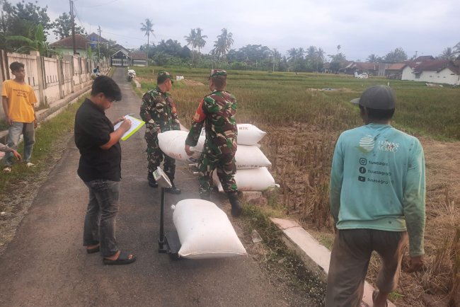 Babinsa Wanadadi Dampingi Petani dalam Kegiatan Sergap Dorong Stabilitas Harga Gabah