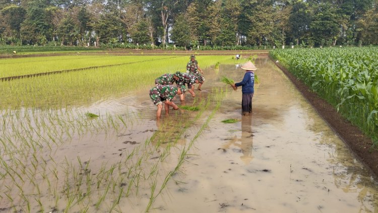 Turun ke Sawah Serma Sagi Dampingi Petani Tanam Padi Varietas Unggul Inpari 32