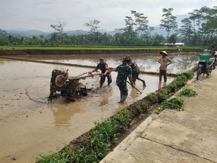 TNI Bantu Olah Lahan Petani Medayu Rasakan Kehangatan Kemanunggalan