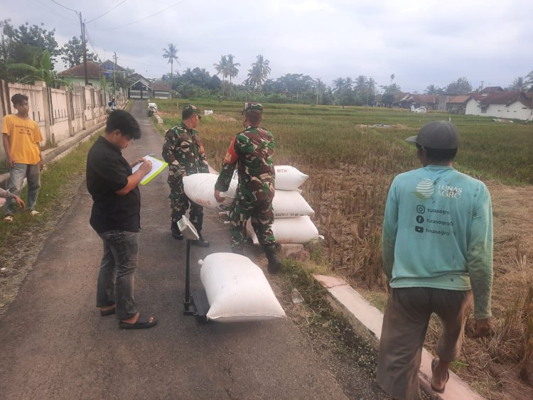 Babinsa Wanadadi Dampingi Petani dalam Kegiatan Sergap Dorong Stabilitas Harga Gabah