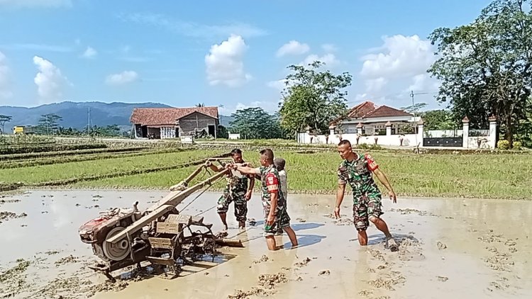 Babinsa Koramil 13  Banjarmangu Membantu Petani Mengolah Lahan Sawah