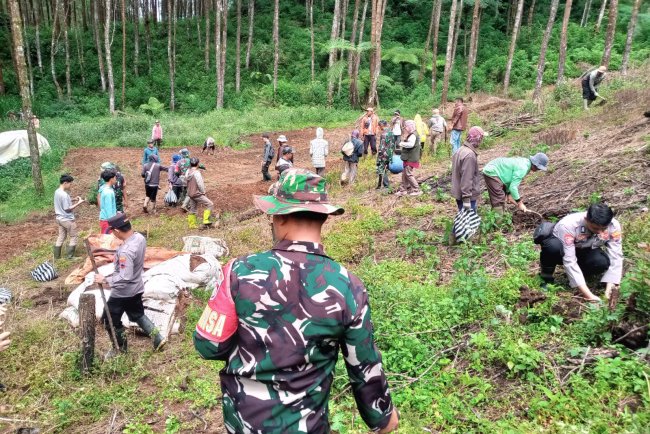 Jaga Kelestarian Hutan Penghijauan Koramil 17 Wanayasa Tanam pohon