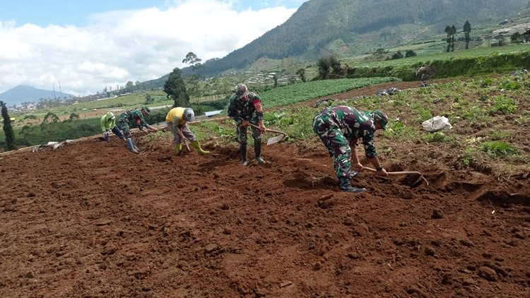 Koramil 05 Batur Dampingi Petani Olah Lahan untuk Dukung Ketahanan Pangan Nasional