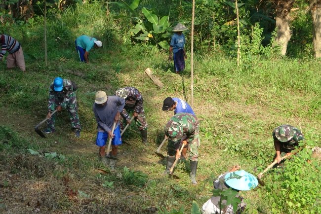 TMMD Reguler ke-125 Kodim 0710 Pekalongan Siapkan Lahan Penghijauan di Desa Windurojo