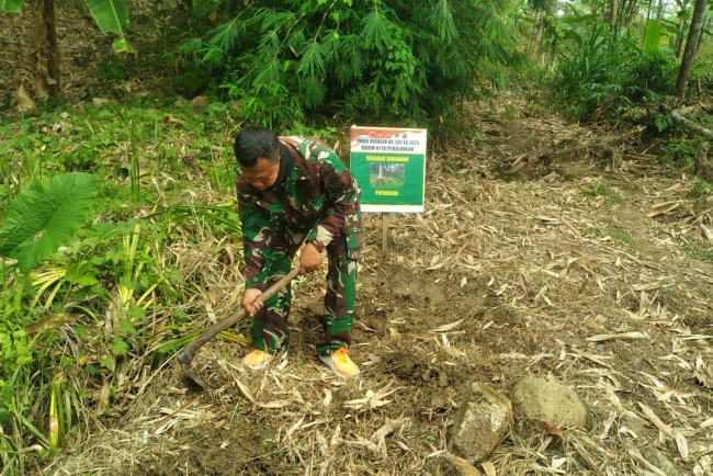 Satgas TMMD Reguler ke-125 Kodim 0710/Pekalongan Mulai Buat Lubang Tanam untuk Penghijauan di Desa Windurojo