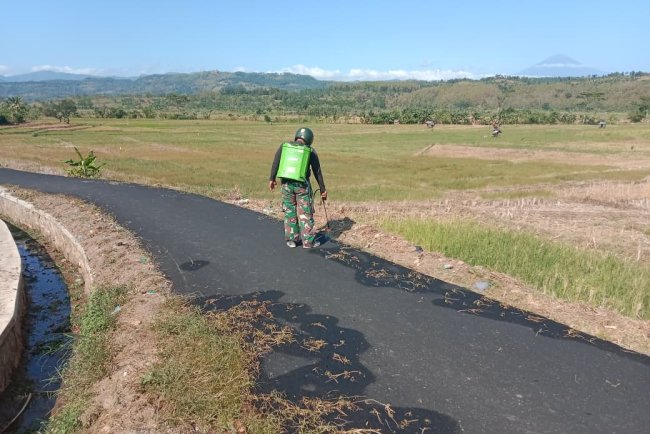 Satgas TMMD Reguler ke-125 Kodim 0710/Pekalongan Lakukan Perawatan Jalan di Desa Windurojo