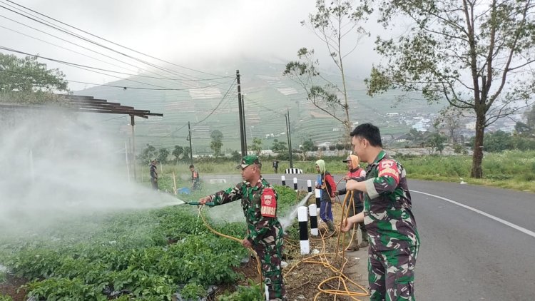 Cegah Hama Dan Jamur Koramil  05 Batur Bantu Penyemprotan Tanaman Kentang