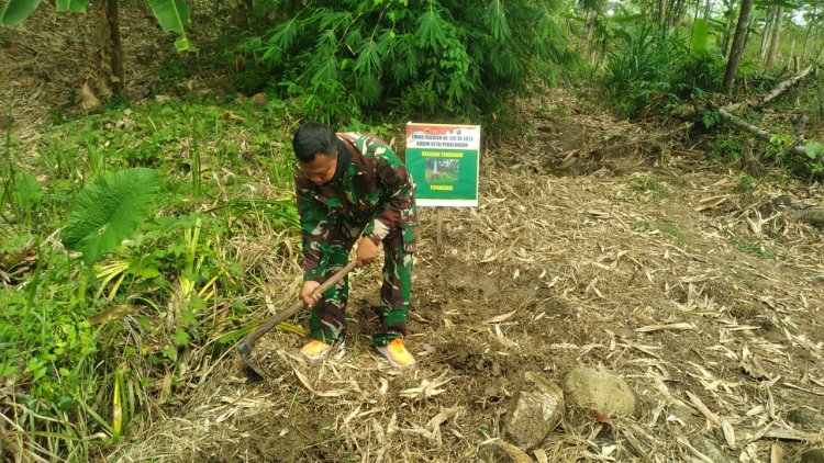Satgas TMMD Reguler ke-125 Kodim 0710/Pekalongan Mulai Buat Lubang Tanam untuk Penghijauan di Desa Windurojo